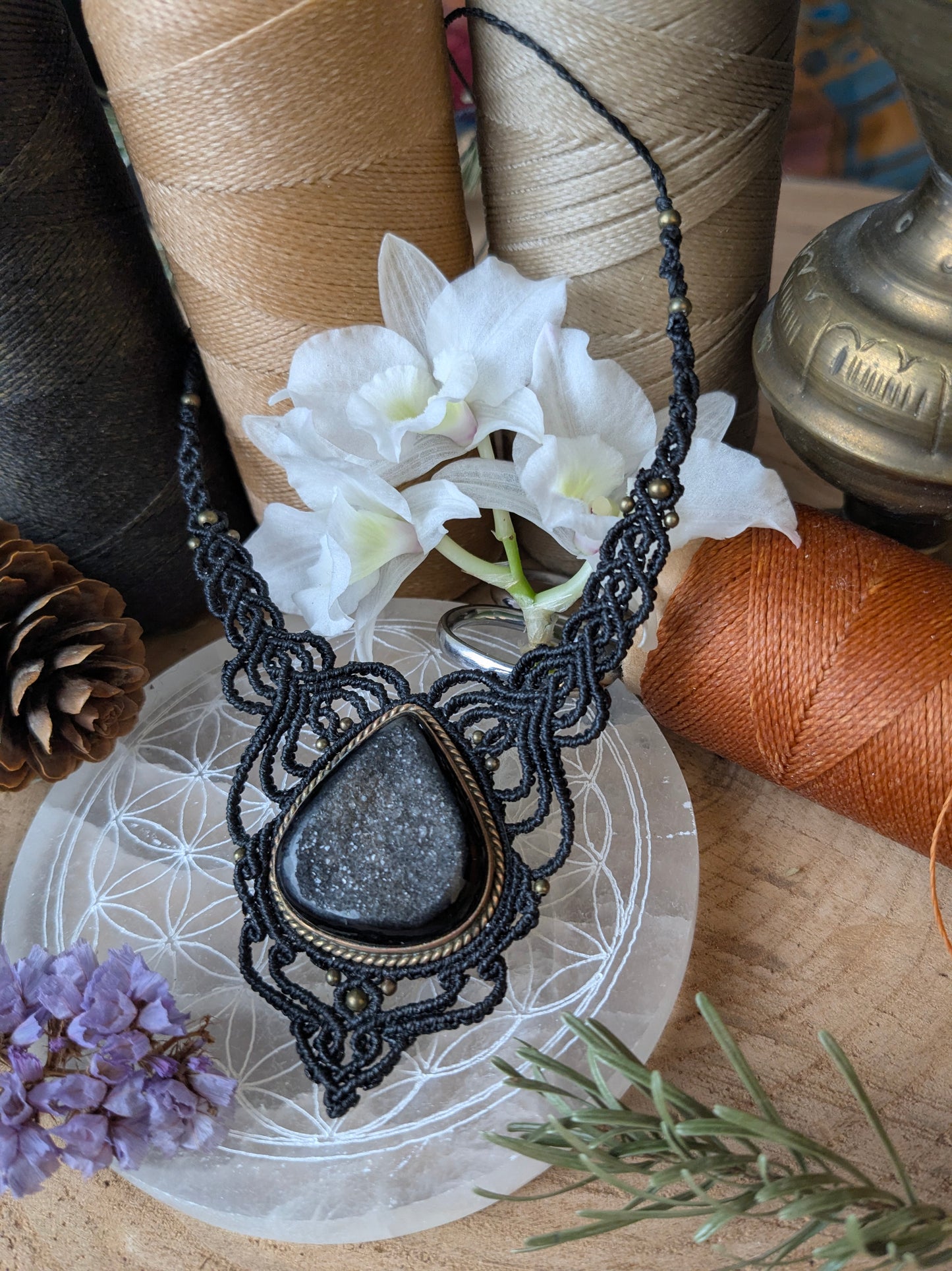 Plastron - cœur de Septaria