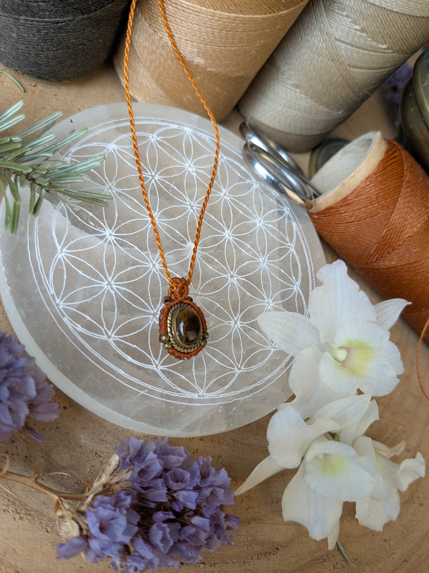 Collier oeil d'Orion - Œil de tige - Ocre