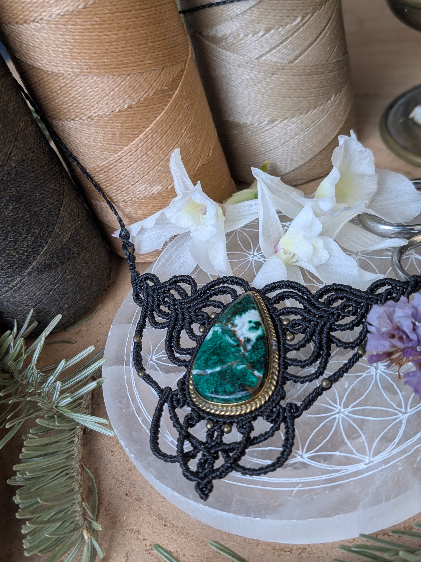 Plastron - Chrysocolle